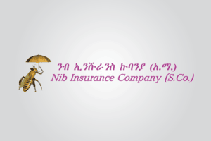 NIB Insurance Company