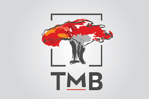 300x200px-web-Hibret-shebamillllllllles-0821-01-01-01-01